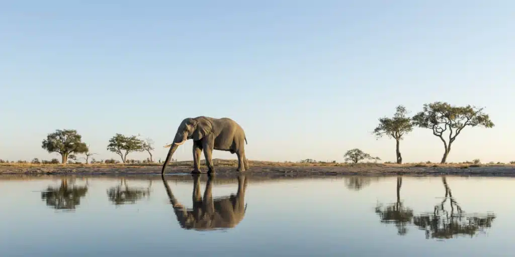 AdobeStock 284355244 result