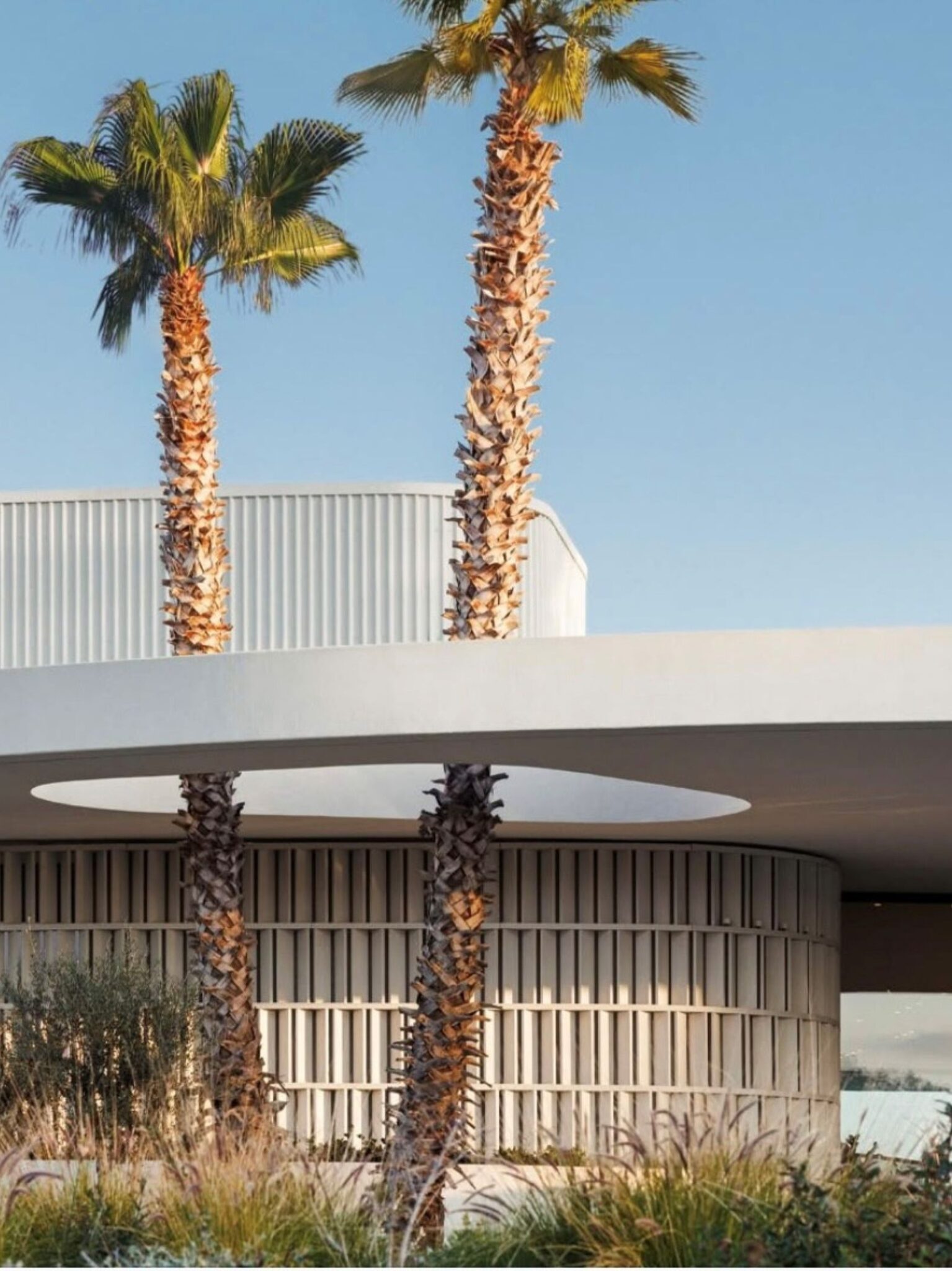 athen-one-only-aesthesis-palmen-dach