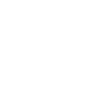 NEU_Logo_RSelection_icon_weiss_transparent