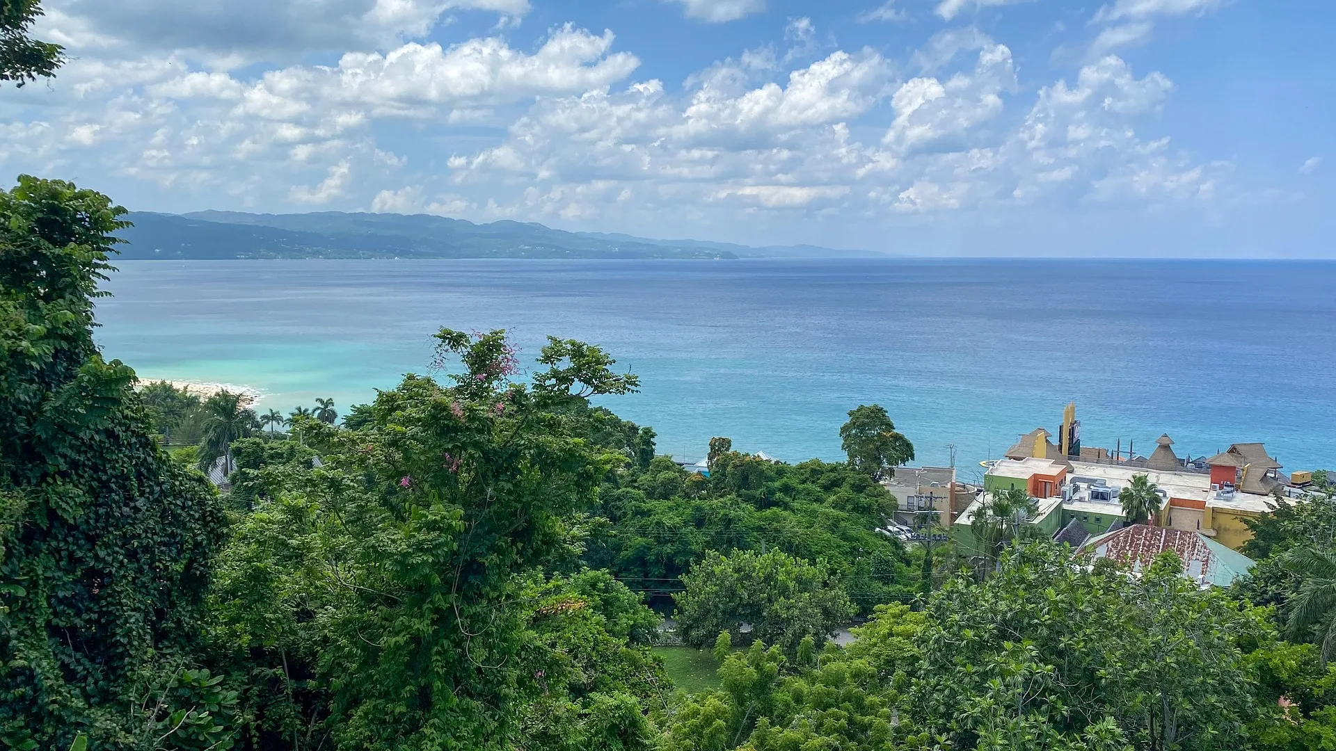 Jamaica View