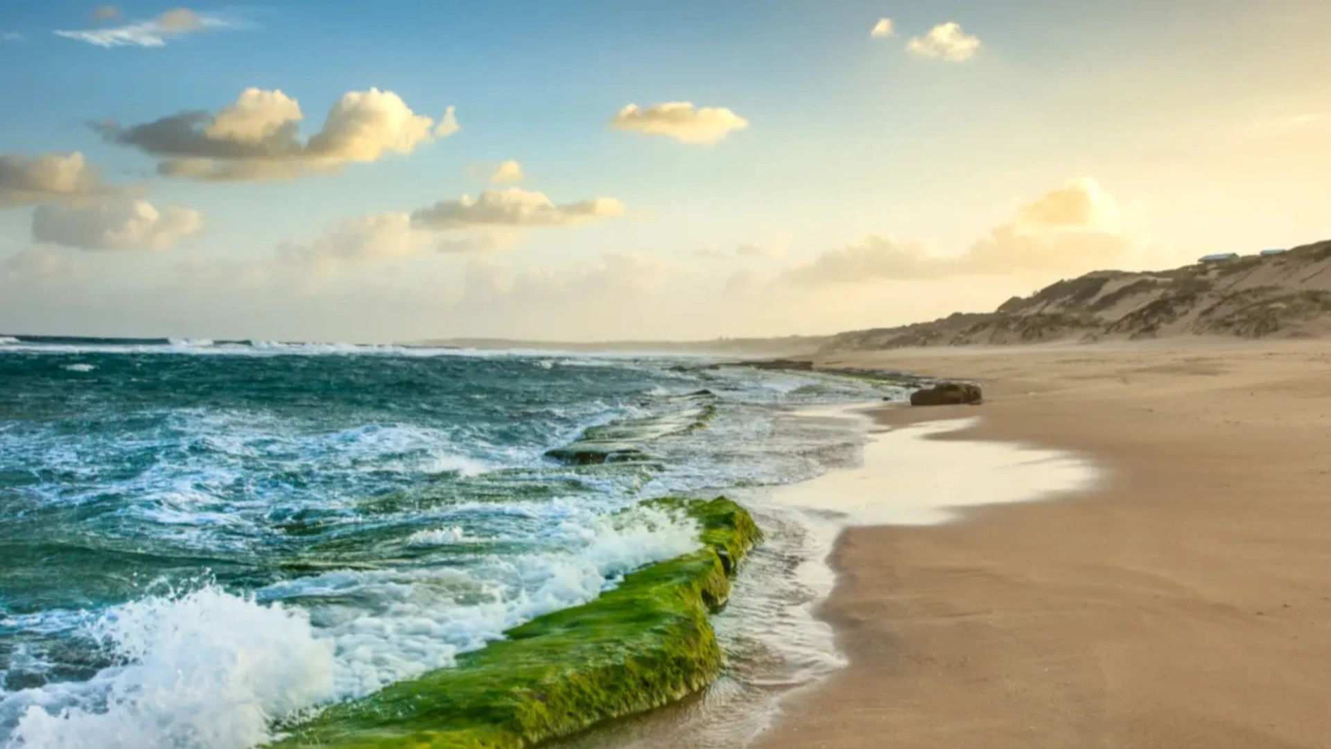 das Bild zeigt die Küste von Mosambik